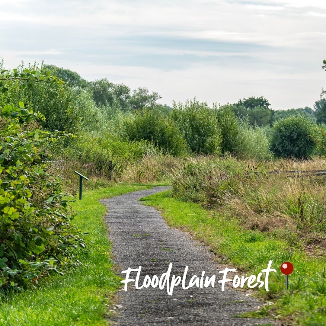 The Parks Trust tweet media