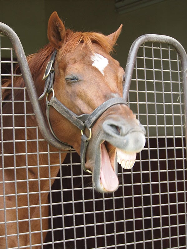 daily ♫ digifalco tweet media