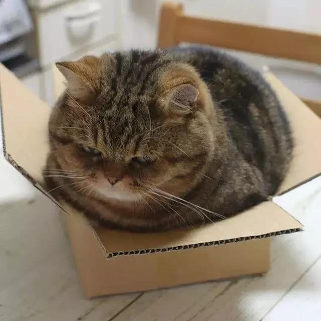 xarli D. tweet media