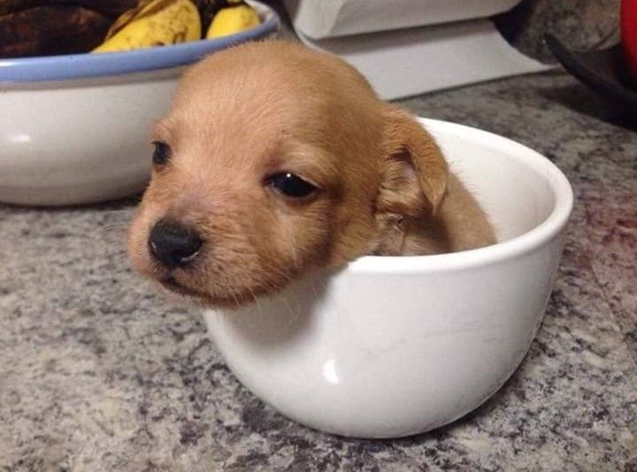 valentine 🍀 tweet media