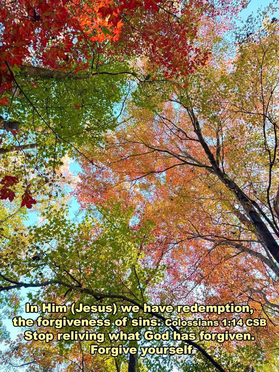 dailyword4you's tweet photo. In Him (Jesus) we have redemption, the forgiveness of sins. Colossians 1:14 CSB Stop reliving what God has forgiven. #ForgiveYourself https://t.co/rNVJKHVRdp