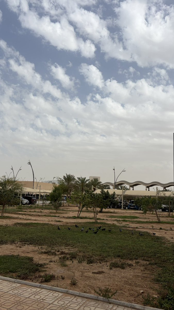 جمانة tweet media