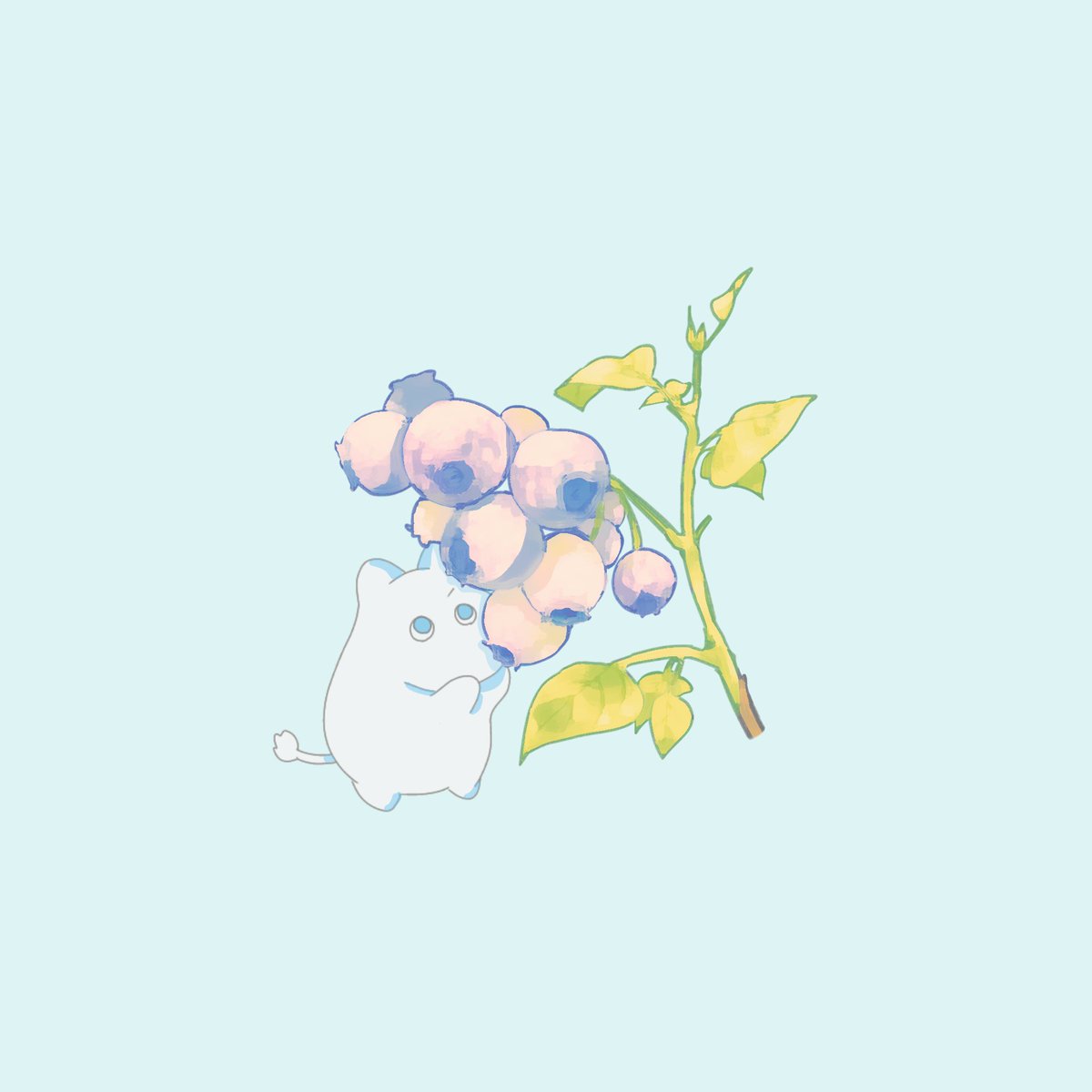 実は本日、誕生日です！
実りある一年にしたいです🫐🌿