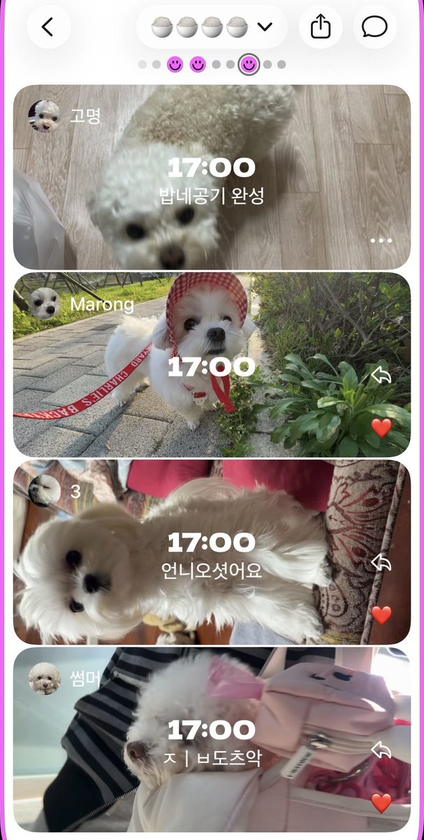 최밥풀 tweet media