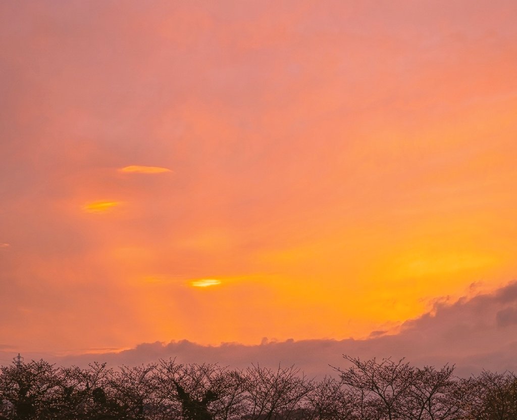 流れ星 tweet media