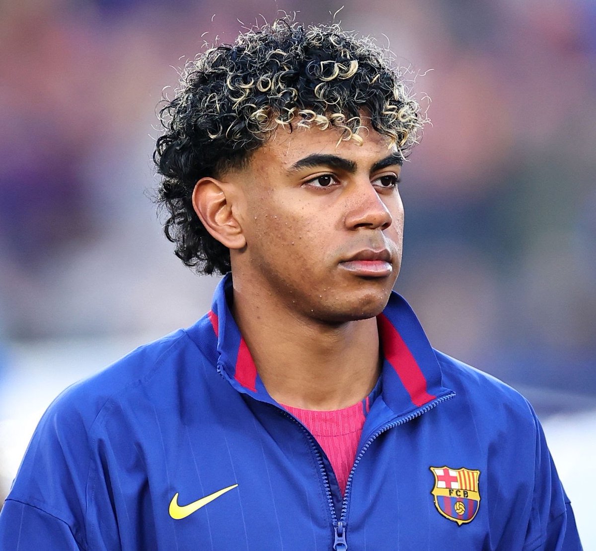 Berneese tweet media