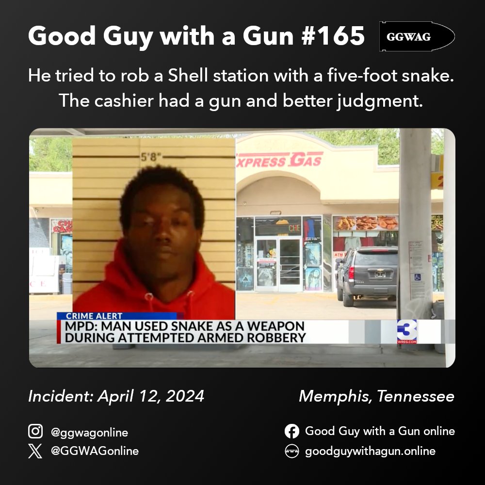 GGWAGonline's tweet image. He tried to rob a Shell station with a five-foot snake. The cashier had a gun and better judgment.

Good Guy with a Gun #165: Memphis, TN
Original incident: April 12, 2024

#2a #ggwag #dgu #rkba

goodguywithagun.online/p/good-guy-wit…