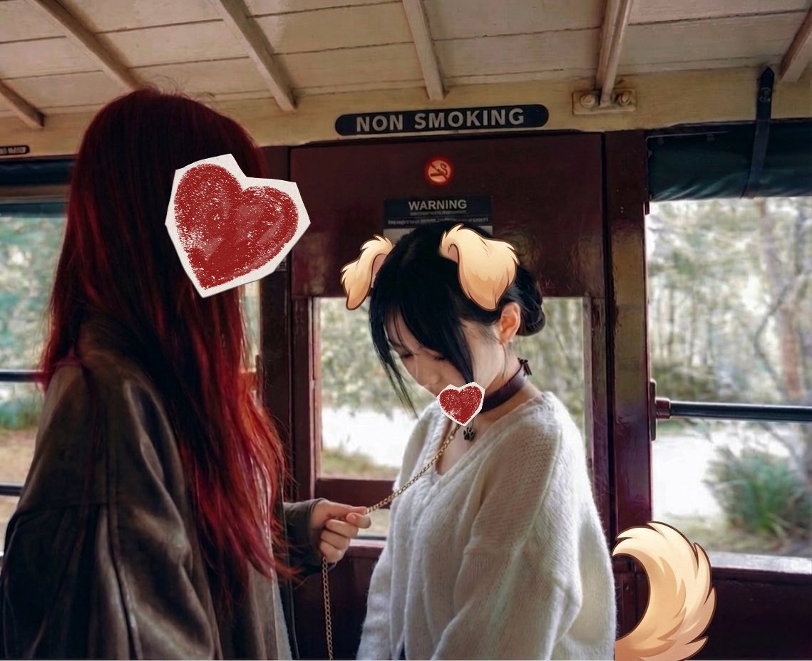 狸奴贪睡不知愁 tweet media