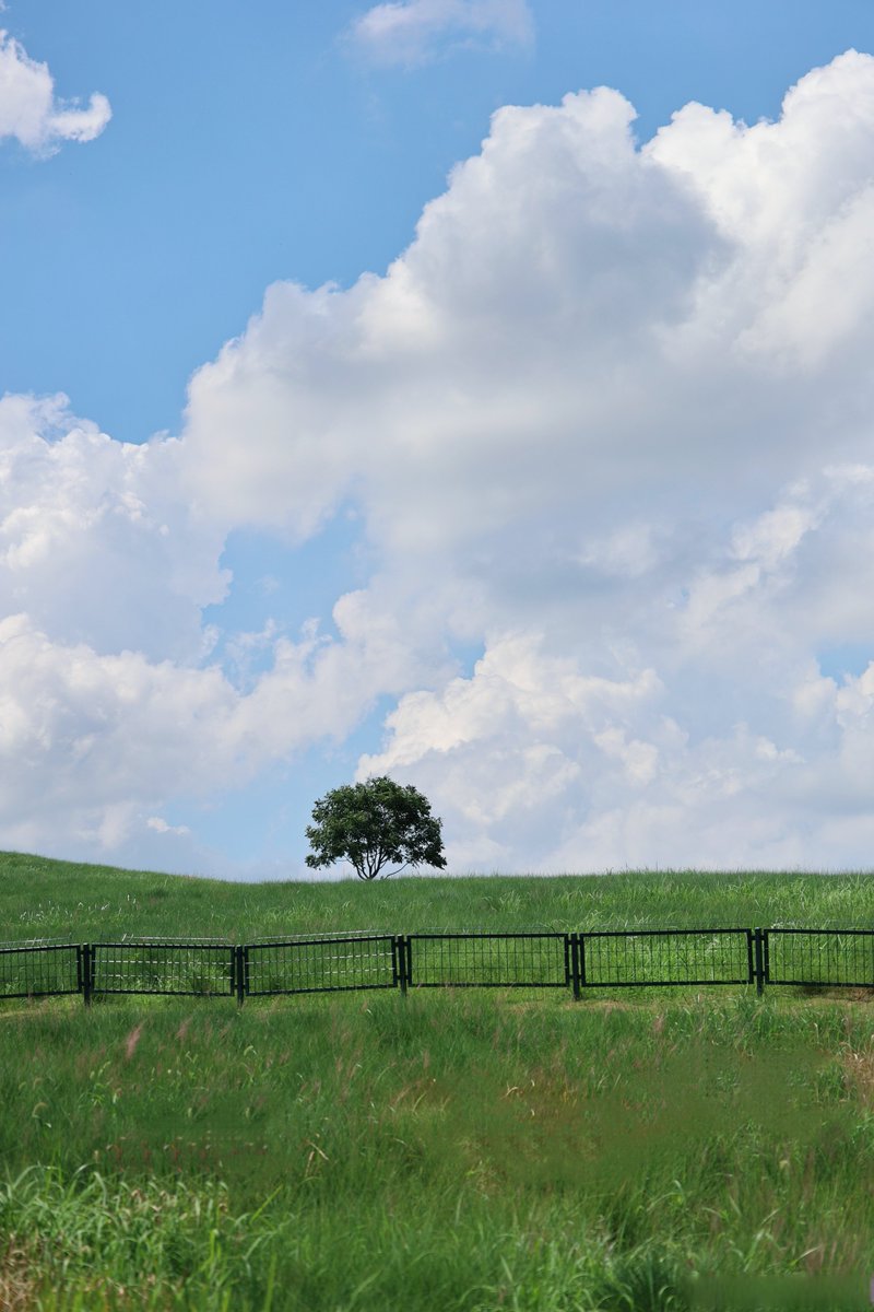 kuldeep41899624's tweet image. Chasing sunsets, s'mores u0026 starry skies—this weekend’s camp was pure magic.  #CampLife #WildernessVibes