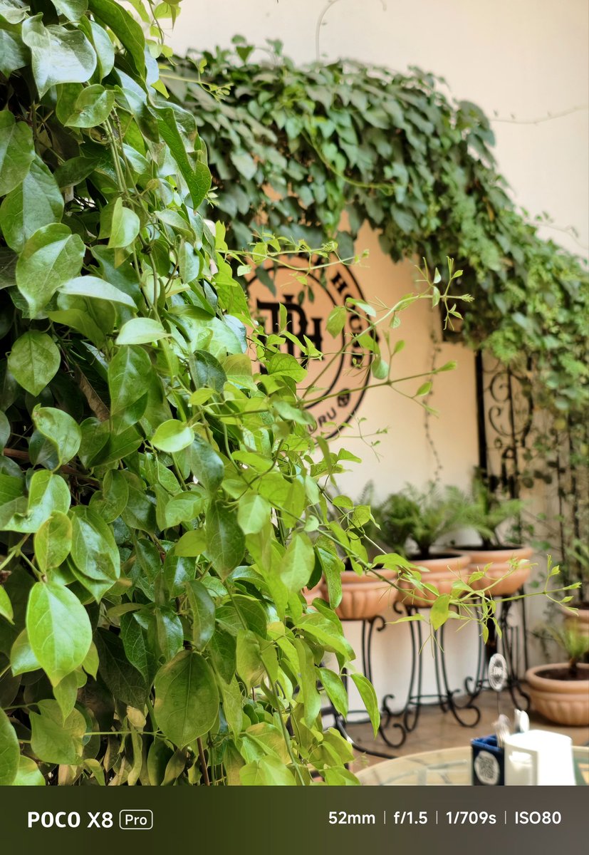 iam_07akash's tweet image. Some Camera Samples from the #POCOX8Pro 
In my terms: 
Good results 
Improved HDR
Details are quite good! 
Nice saturation and colors

Overall, happy with the output here! 
I will be sharing more pictures soon! 

#POCO #pocox8proseries 

@POCOGlobal @kang_poco @KenSekhar @digvj