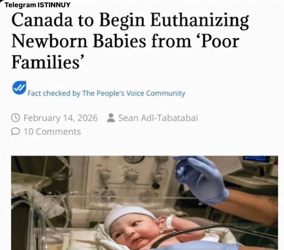 Anubi777 tweet media