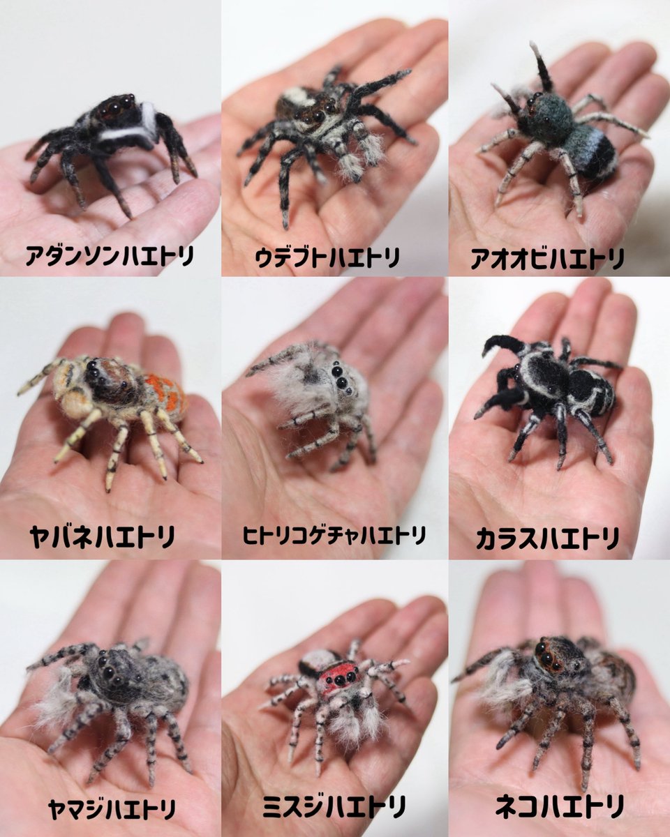 royal_damper tweet media