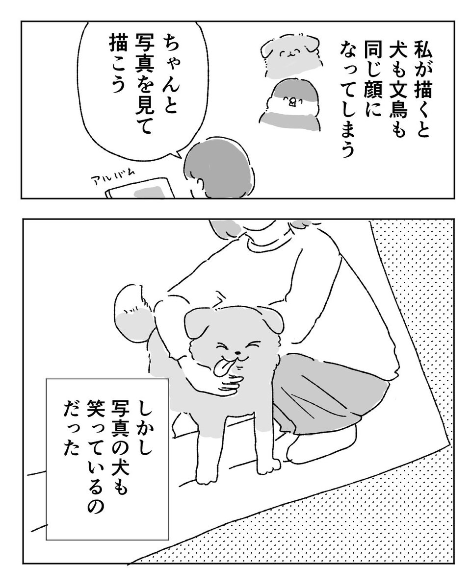 犬との思い出・写真編