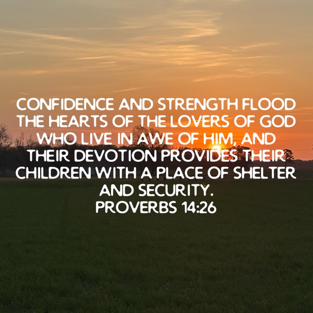 Robert Molnar tweet media