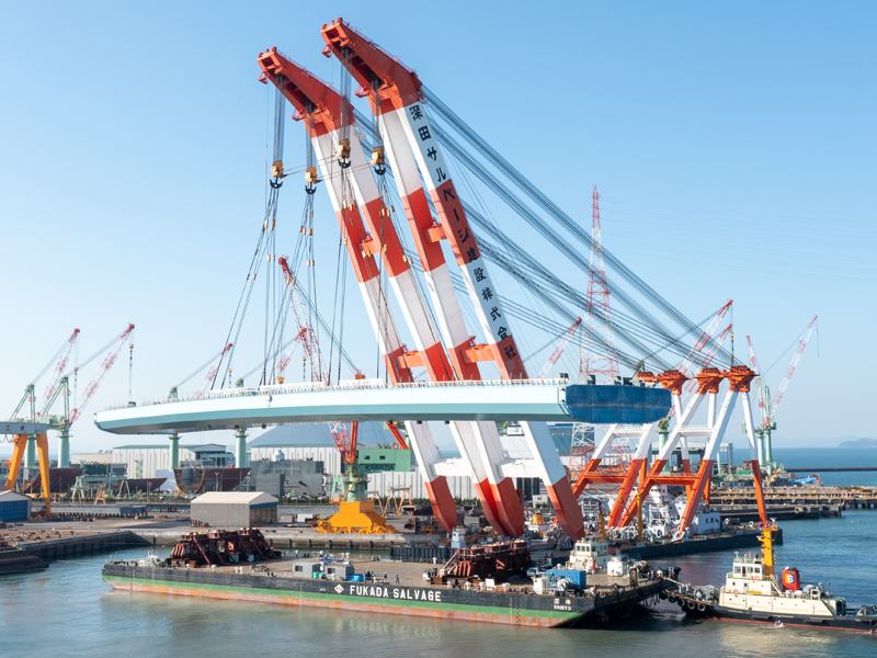 貿易風 八重奏 tweet media