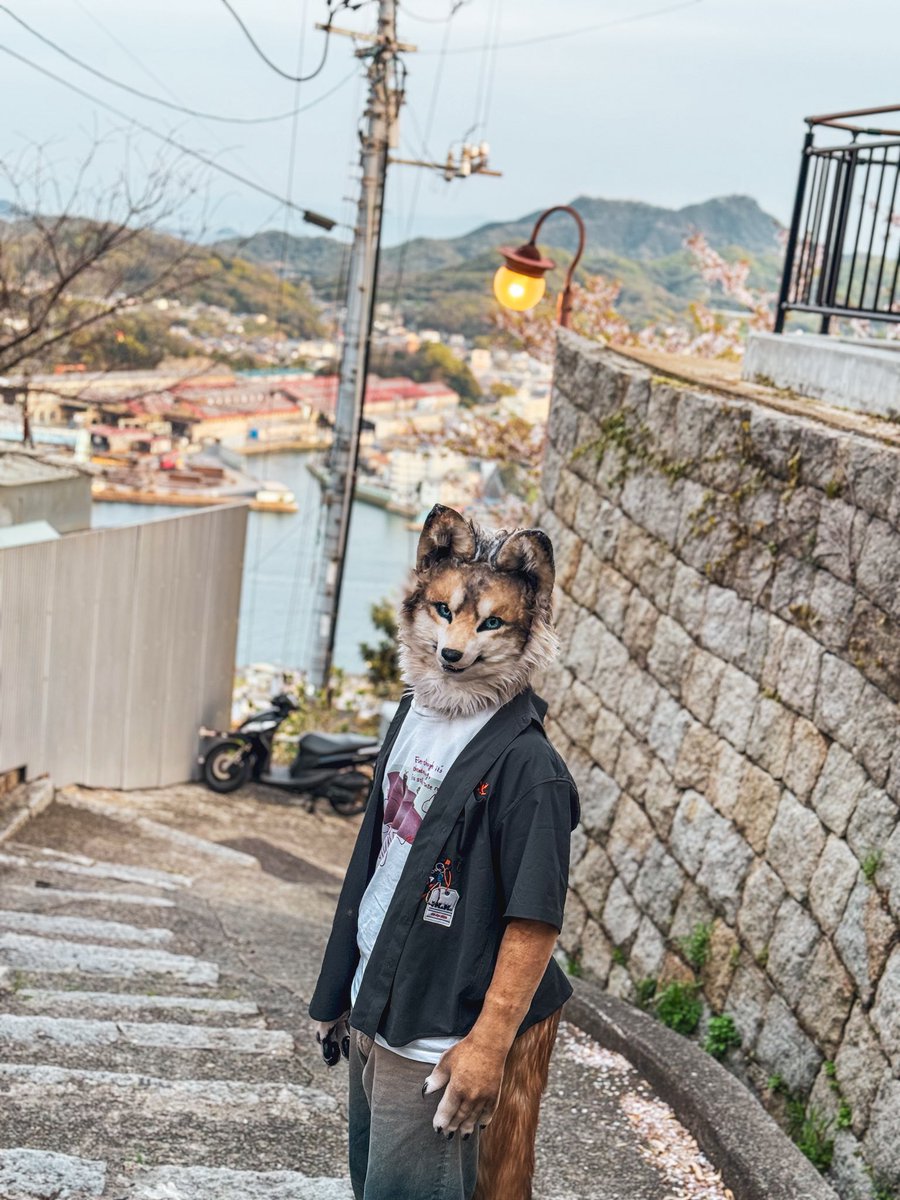 アンバー / Amber tweet media