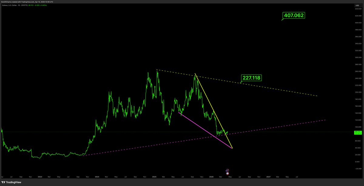 Don 🐂 tweet media