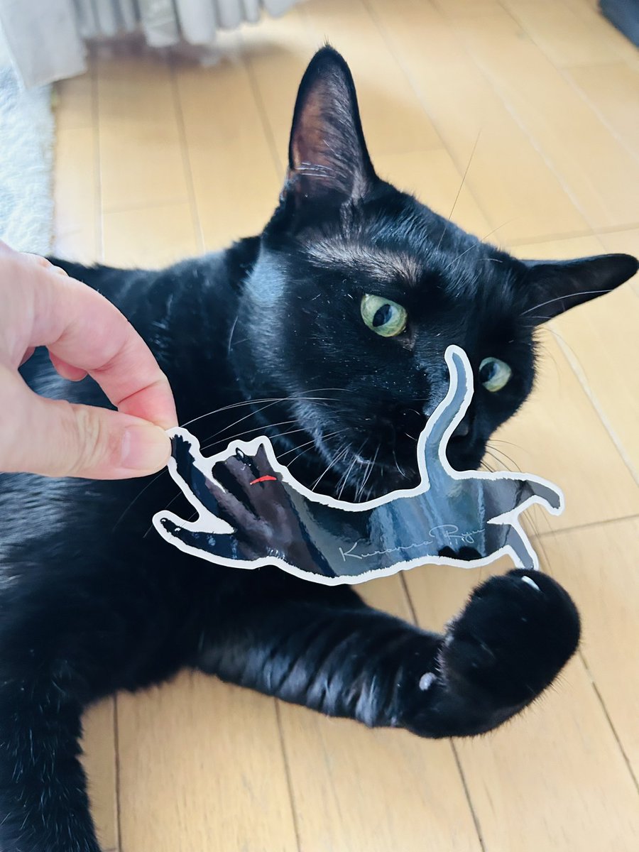 かずよん🐈⬛黒猫りゅう🔜5/2.3【にゃんこ博覧会】R28 tweet media