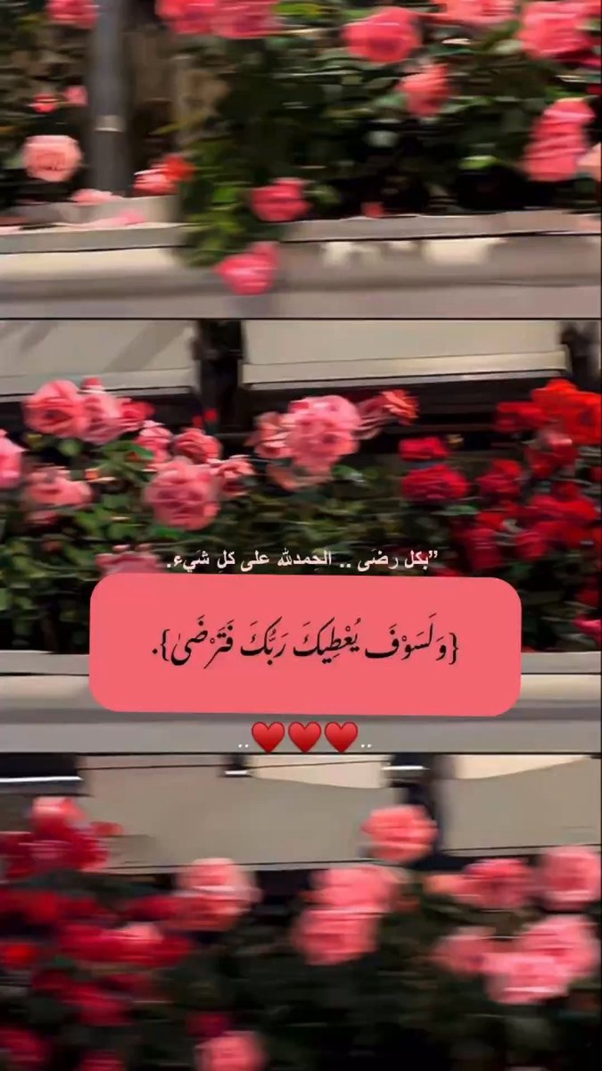 Mjeed 👀 tweet media