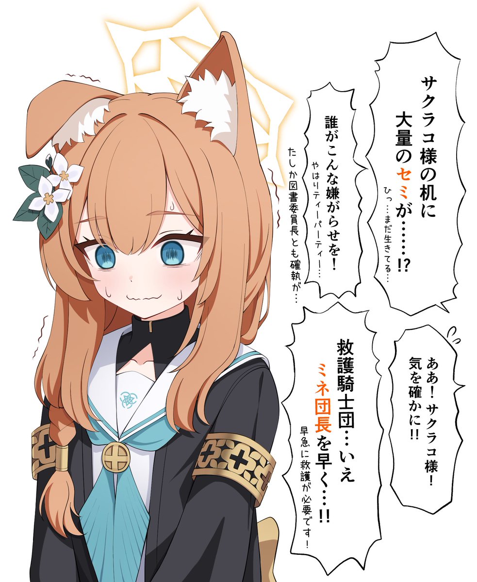 シジマ@FANBOX tweet media