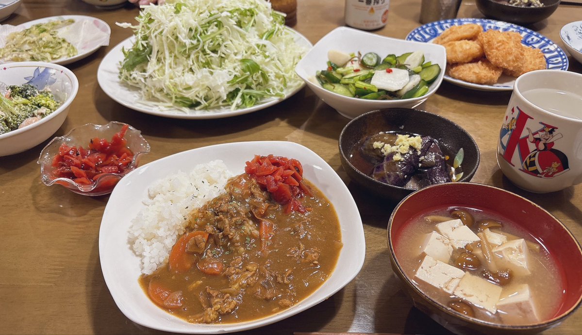 今日は昨日の残りと揚げナスでした⋆⸜(* ॑꒳ ॑*  )⸝✨️