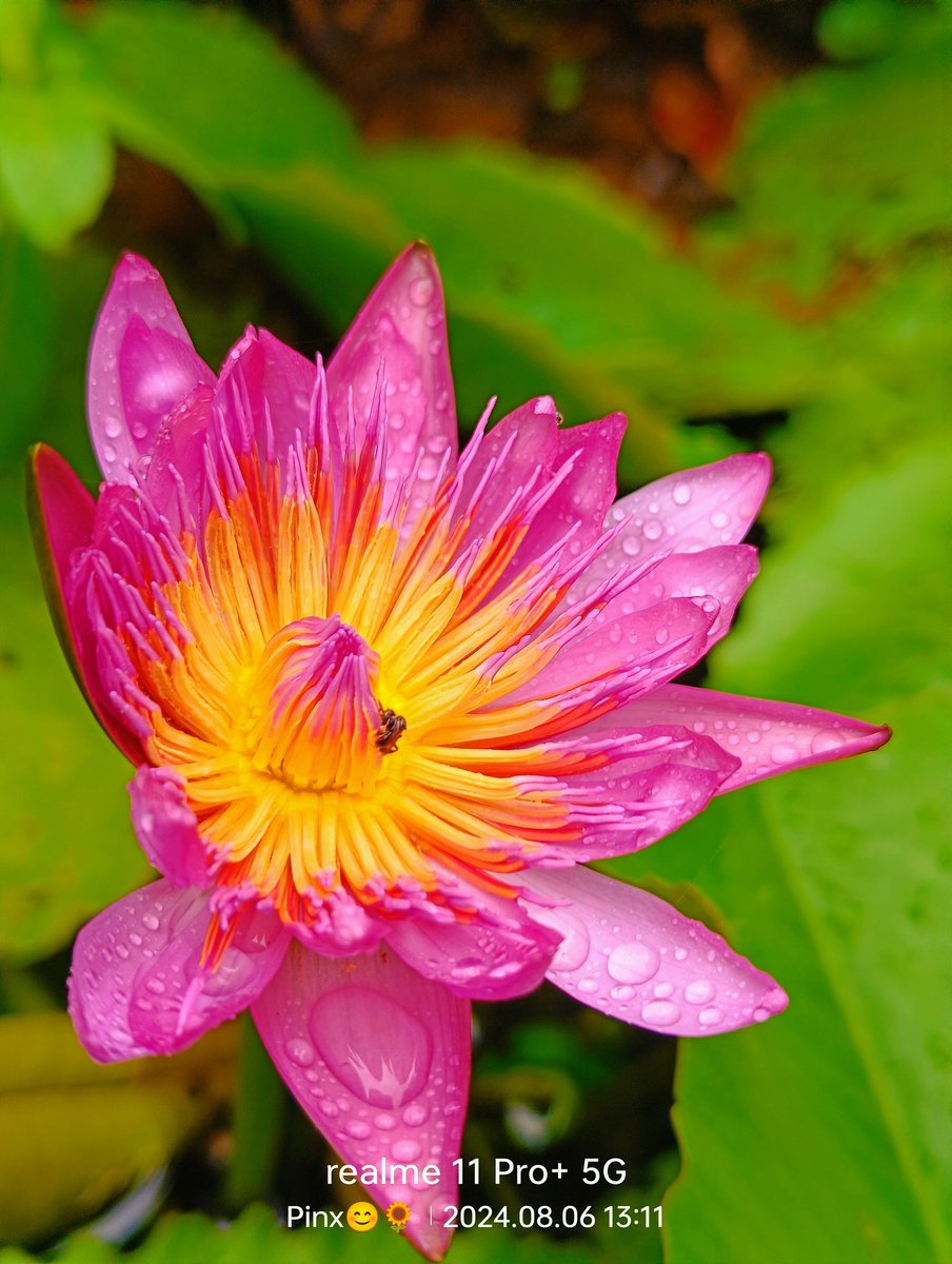 Pinky83996650's tweet image. 🩷#Pink🩷
Share your pink pictures.