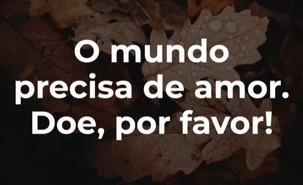 Manuel Carlos🇧🇷 tweet media