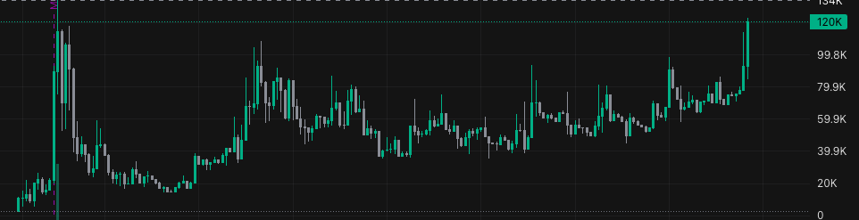 Elbᘒss tweet media