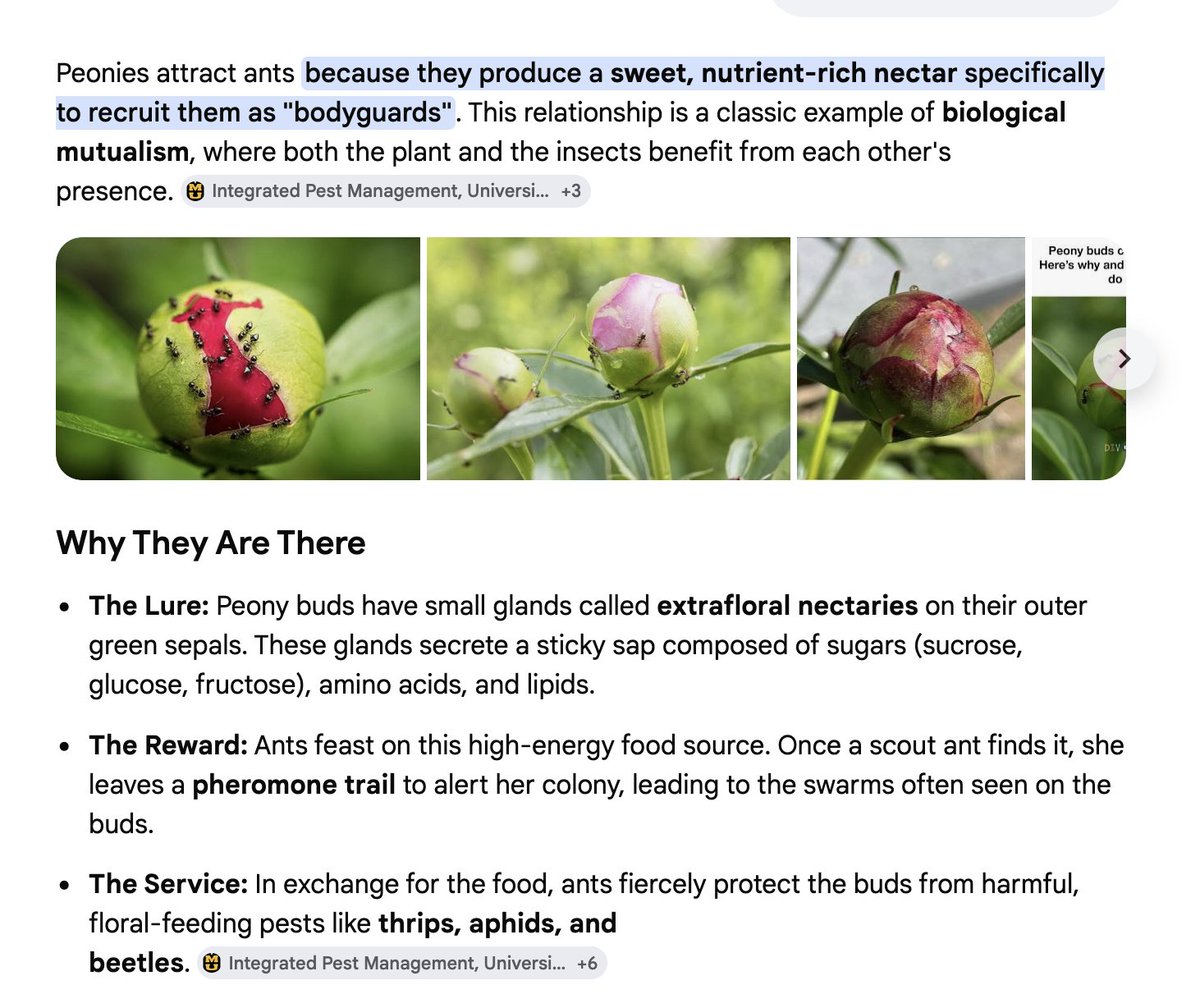 Jan Moyer tweet media