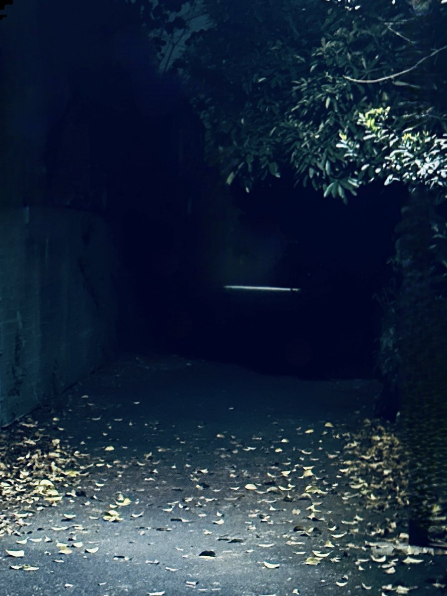 7cax4vlee5's tweet photo. 夜の路地って、怖いはずなのに…
なぜか心がほどけていく魅力的な場所を見つけてしまった
少しだけ大胆で秘密、誰にも見せない、わたしだけの露出の世界

でもそれも、ちゃんと私💋 https://t.co/Rz0VFXTdLF