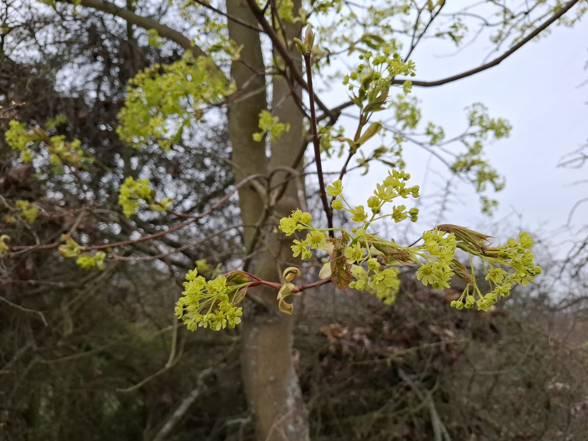 Český hydrometeorologický ústav (ČHMÚ) tweet media