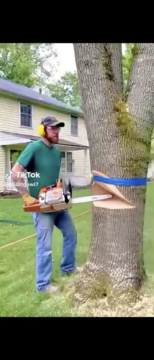 Adiensos's tweet photo. @buzsokk This makes no sense at all 😂 

Considering it started with this AI generated video I instantly began to question the validity of the whole thing.

Shame 🌿 https://t.co/FofSg90ip5