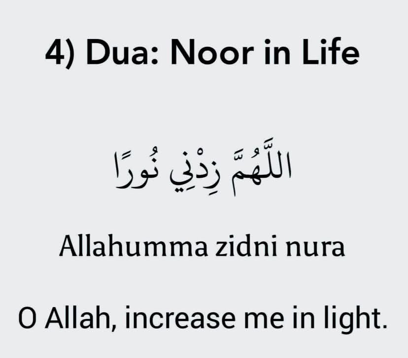 STRIVING MUSLIM tweet media