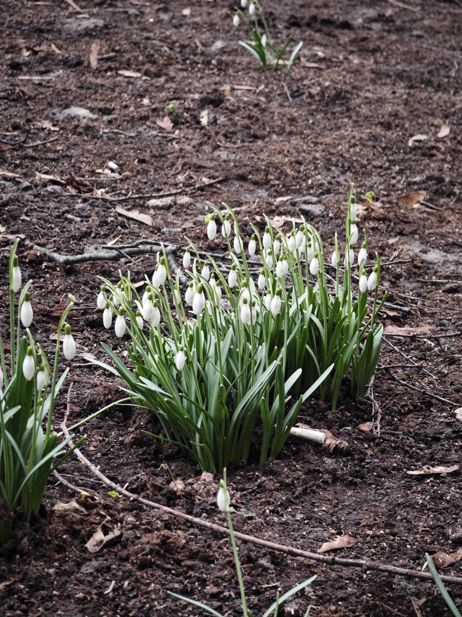 Chekry🌼 tweet media