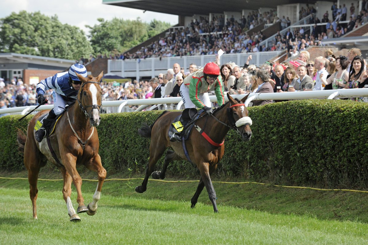 My Racing Tips tweet media