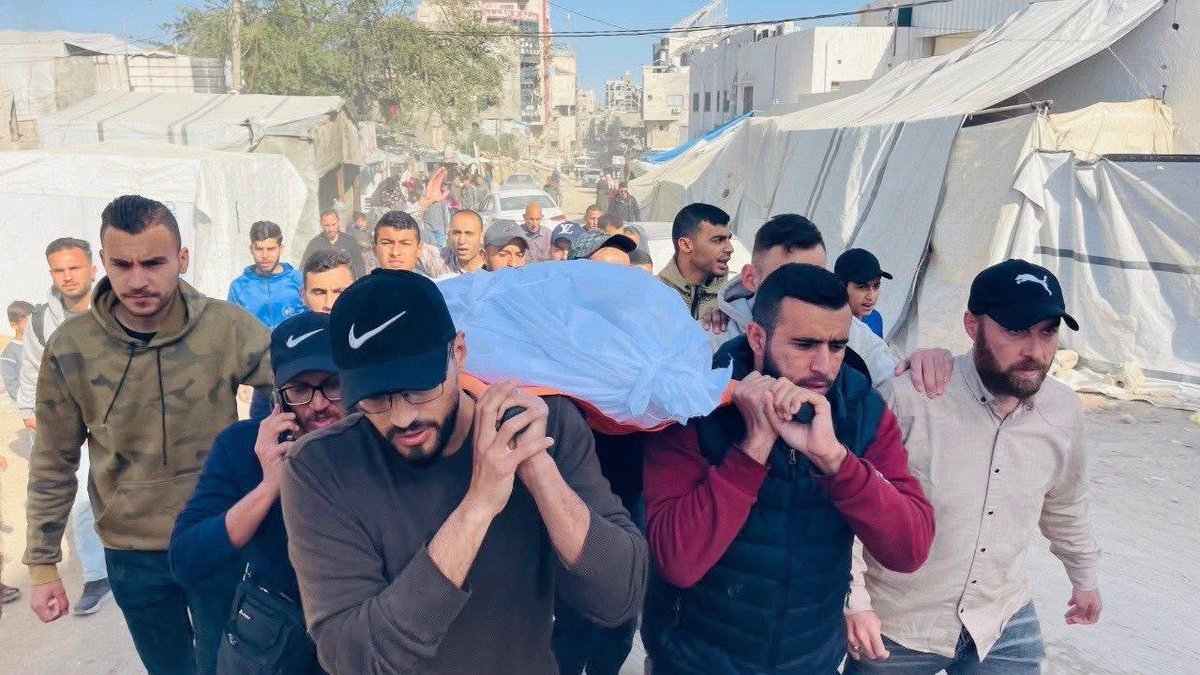 أخبار صفا Safa News tweet media