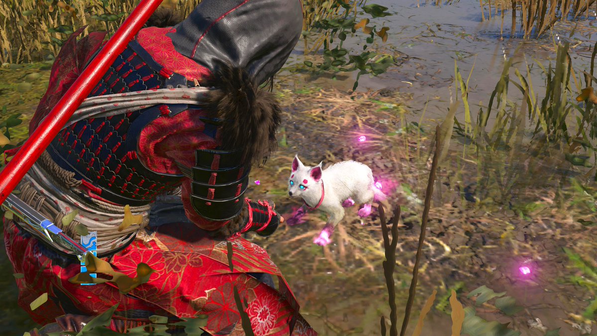 鉄雄(てつお) tweet media