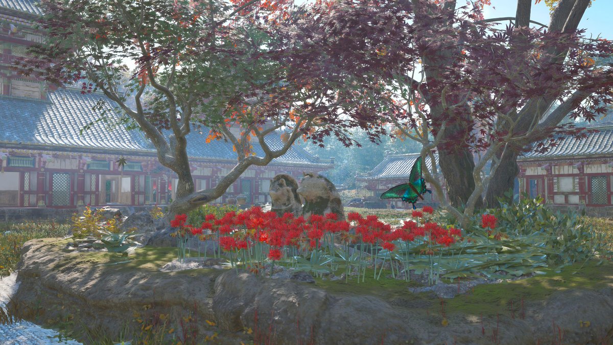 鉄雄(てつお) tweet media