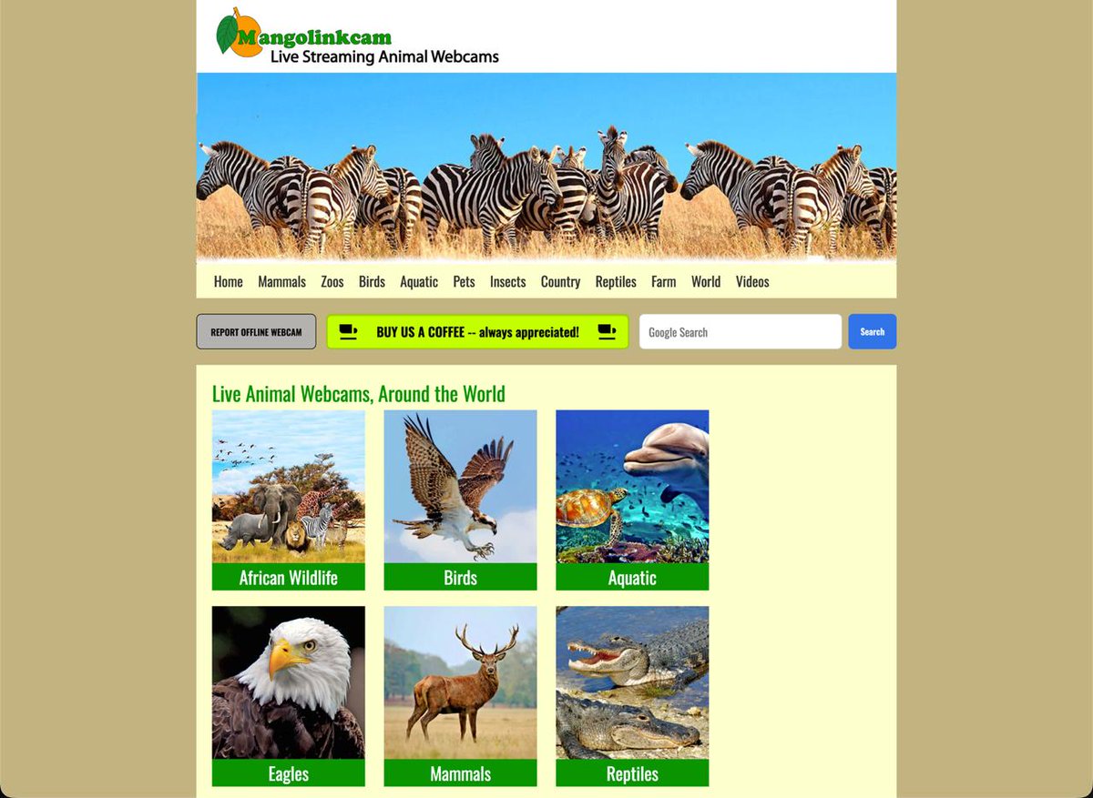 ahhhhfs（用Chrome浏览器打开） tweet media