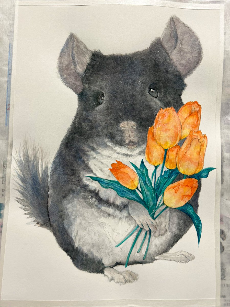 なぎの 🐭チンチラ絵描き tweet media