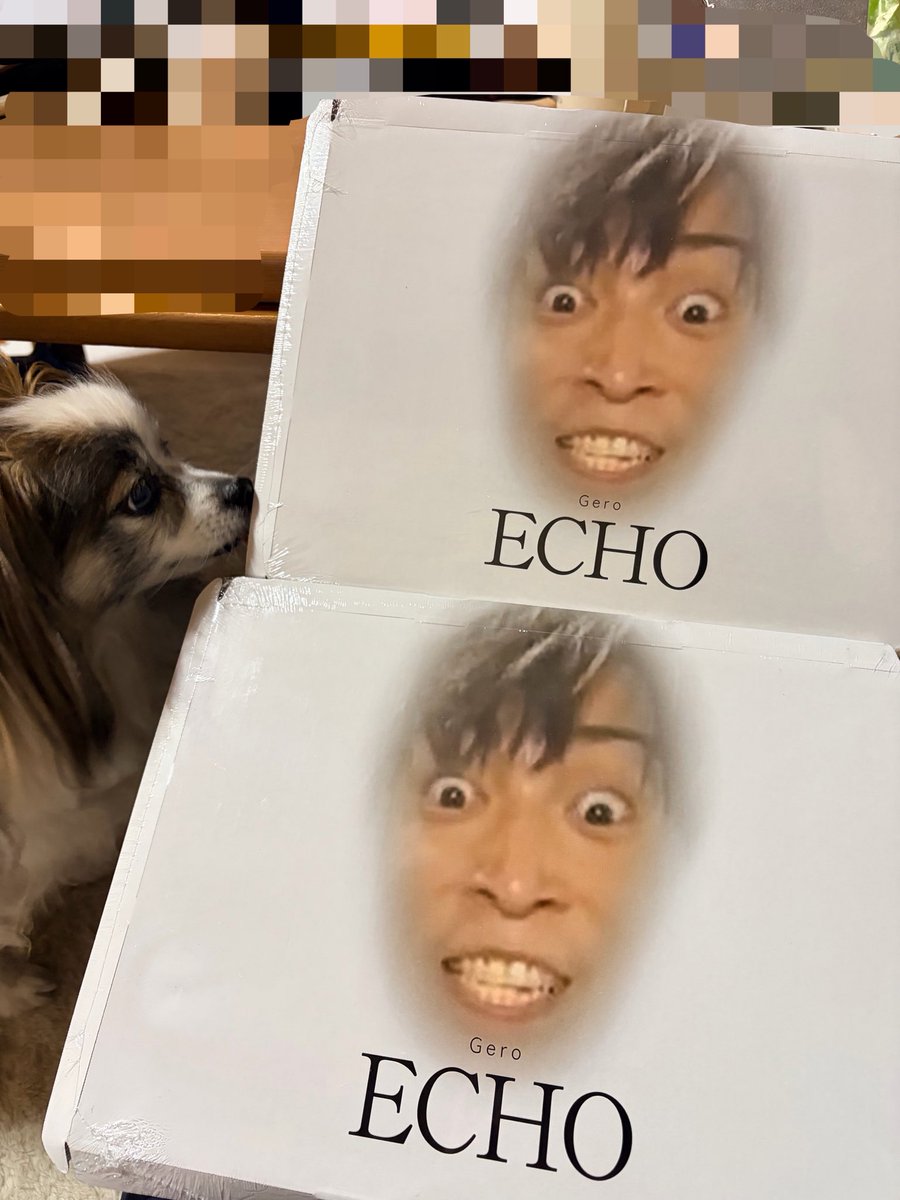 ( ㅅ'ω')ㅎ ピノち tweet media