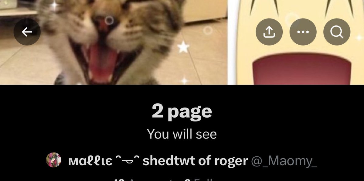 m89707's tweet image. I will see👀👀👀👀 this is so mysterious 👀👀