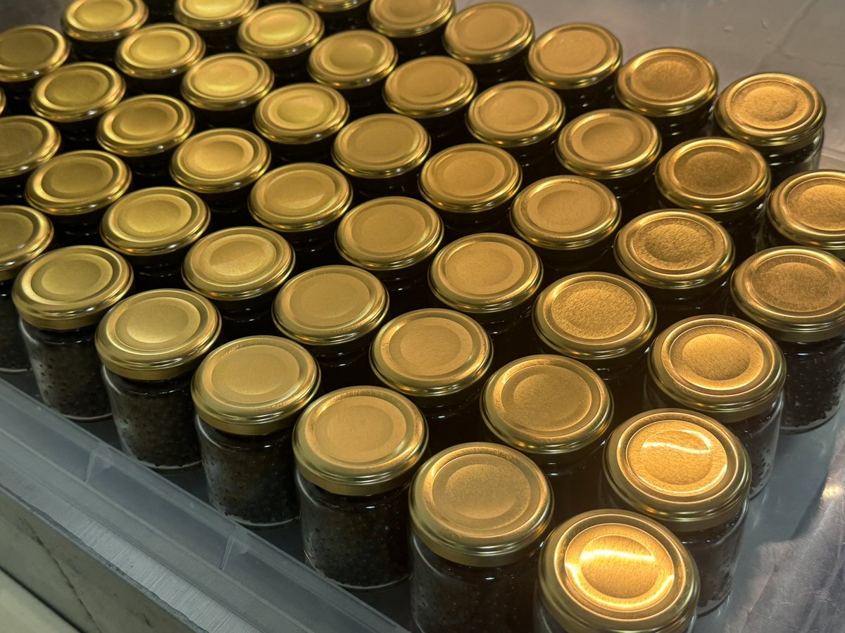 松村@カンボジア🇰🇭と東京🇯🇵と兵庫🇯🇵 tweet media