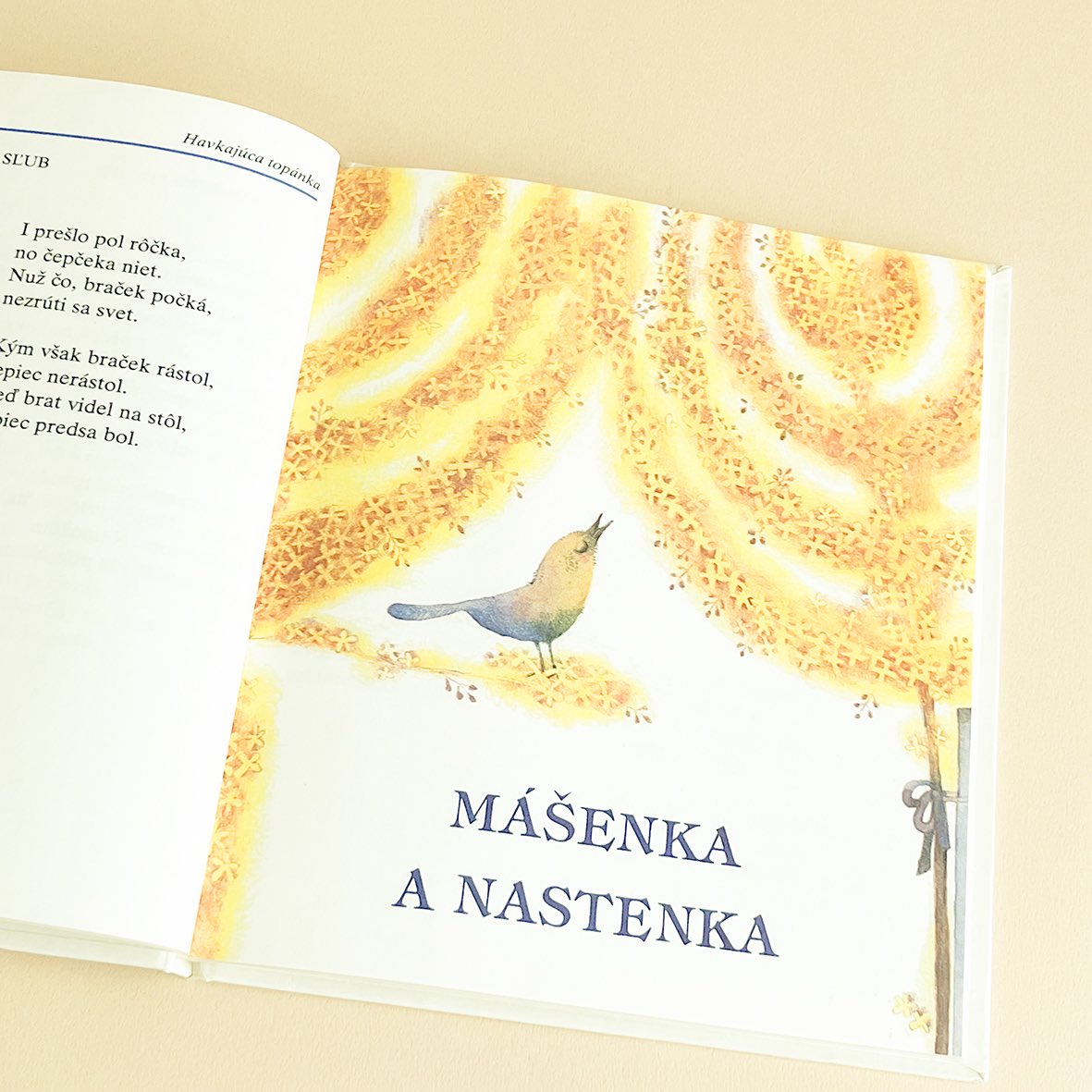 SYSLOVBOOKS tweet media