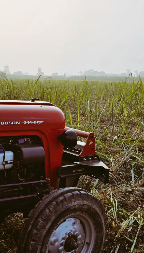 जाट/ਜੱਟ/جاٹ (गंगा - जमना दोआबा आले,पश्चिमी यूपी) tweet media