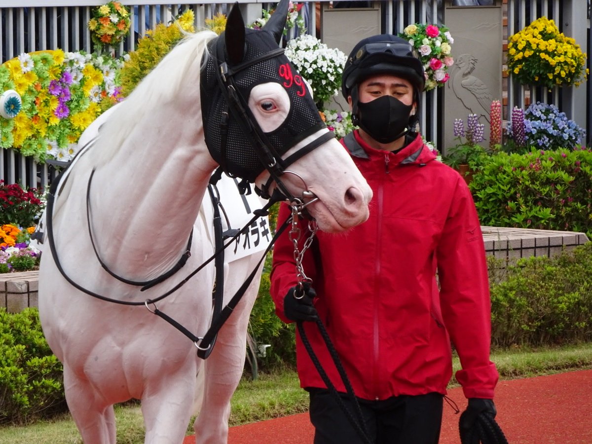 ビンス＠ガルパンおじさん tweet media