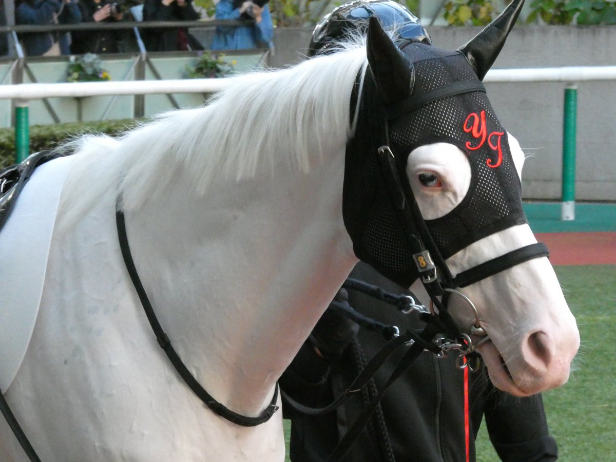 ビンス＠ガルパンおじさん tweet media