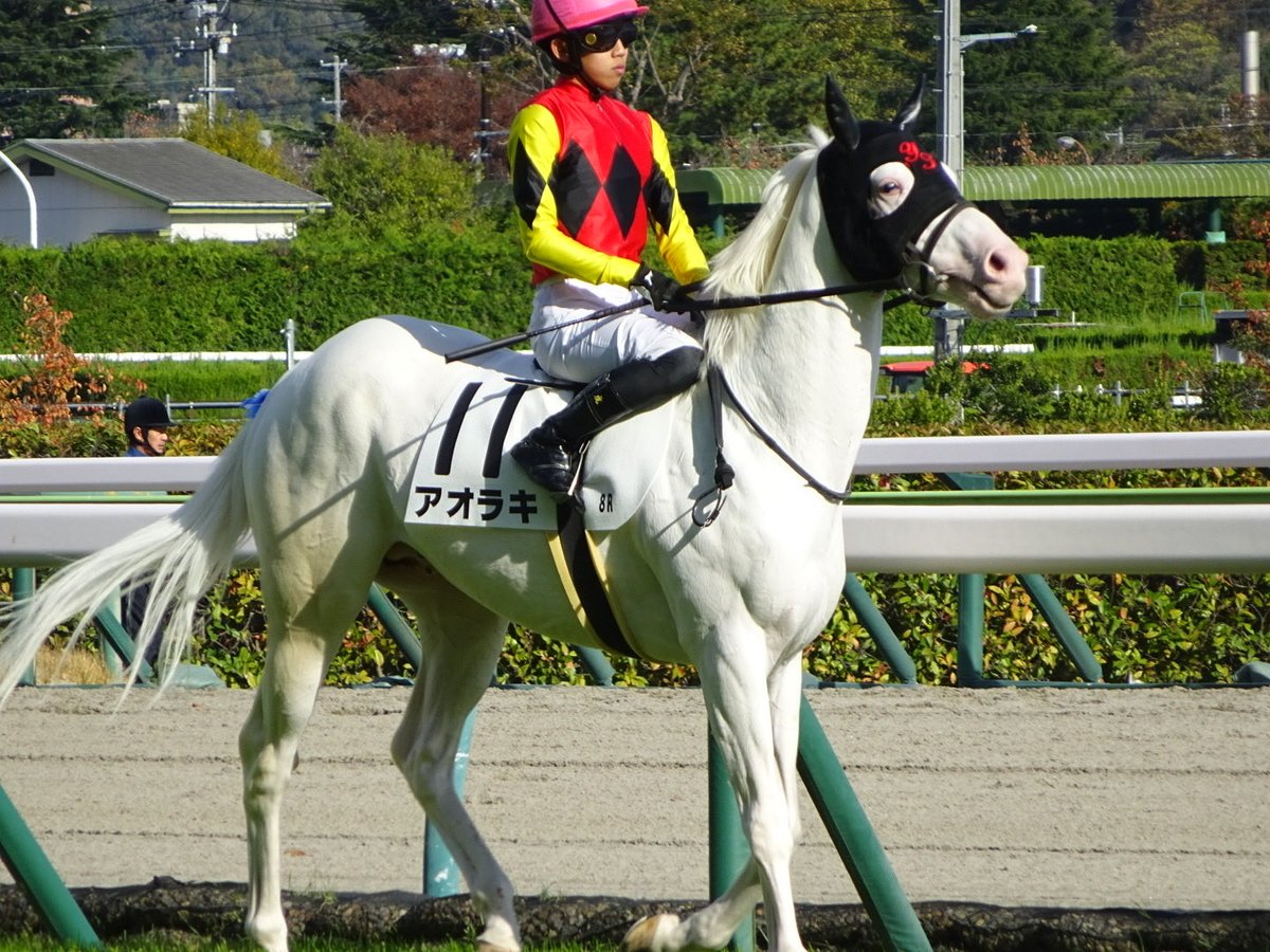 ビンス＠ガルパンおじさん tweet media