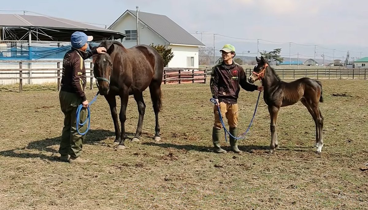 Nakayama-San tweet media