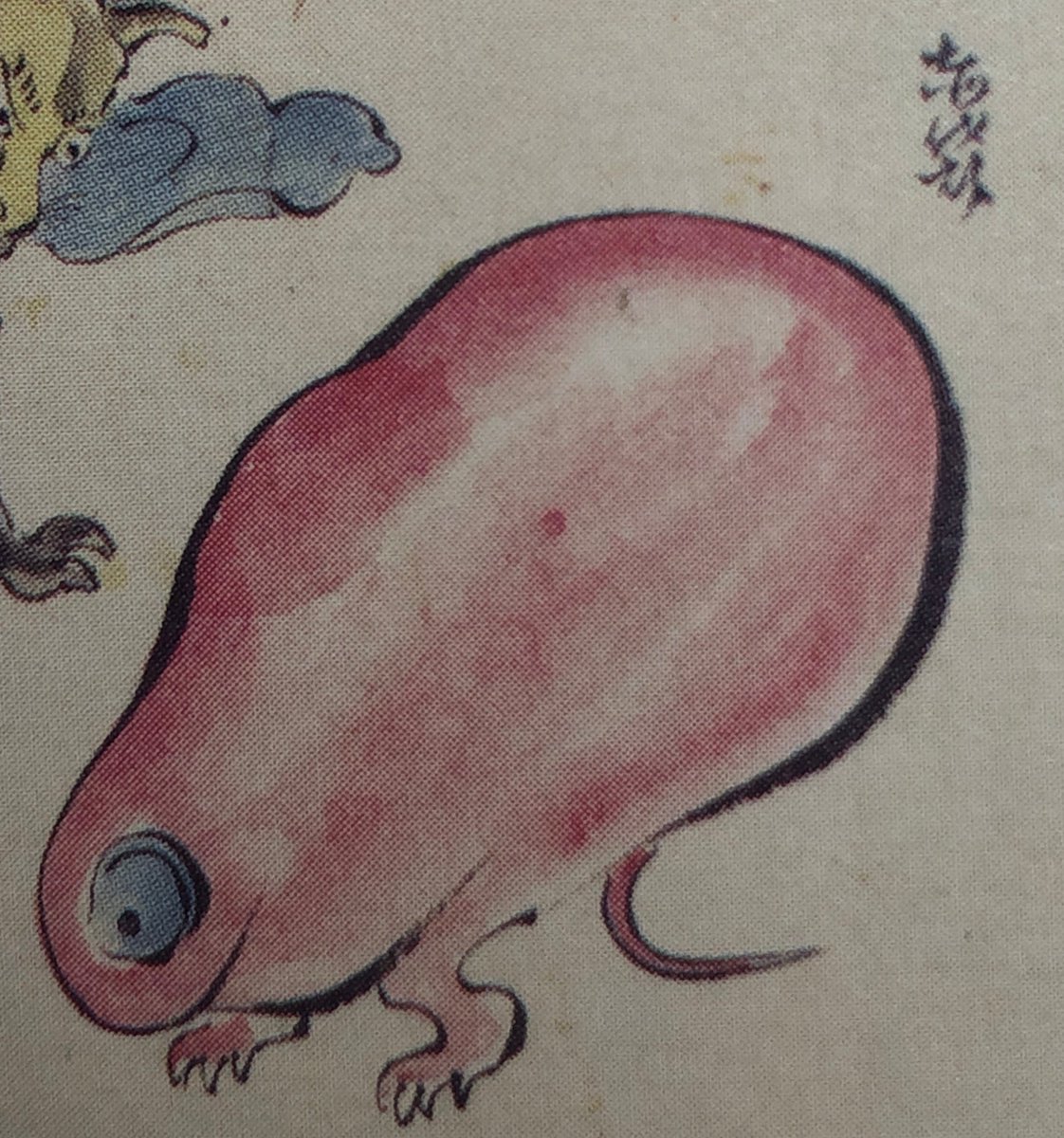 届きました　もしかしてこれ「赤袋」じゃないか？